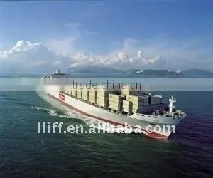Logistic Service From Ningbo to ITAJAI,Brazil thumbnail-1