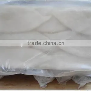 Whole Frozen Squid Tube U5,U7,U10-U20 thumbnail-5