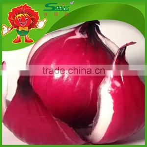 Cheap Onion From China Color Red and Yellow Types Red Onions thumbnail-1