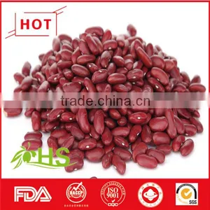 Hot Sale Red Kidney Beans With Great Quality and Price thumbnail-2