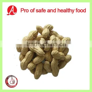 Roasted Peanut in Shell thumbnail-1