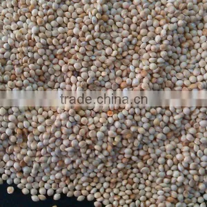 White Millet thumbnail-1