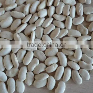 2014 Different Varieties of White Kidney Beans From China With Cheap Price thumbnail-4