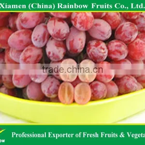 Fresh Chinese Table Grape Red Globe Grape Red Grape to India Asia Market thumbnail-6