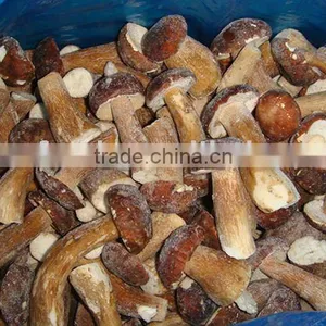 Chinese Boletus Edulis Mushroom Frozen thumbnail-1