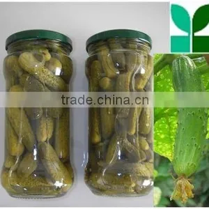 Canned Pickled Cucumber in Glass Jar thumbnail-1