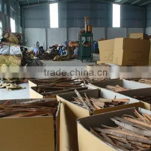 Factory Price Cinnamon P.E. thumbnail-4