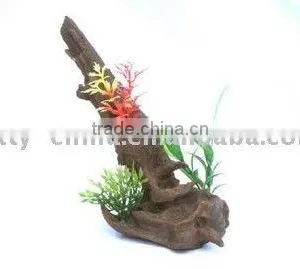 Reptile Feeder/bowls thumbnail-1