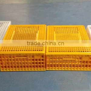 Plastic Chick Cage for Sale Made in China thumbnail-6