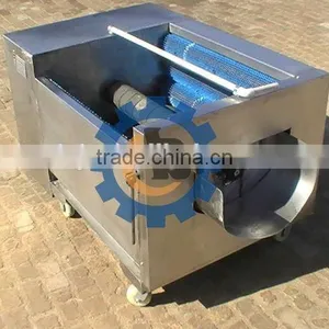 Fresh Ginger Washing and Peeling Machine thumbnail-2
