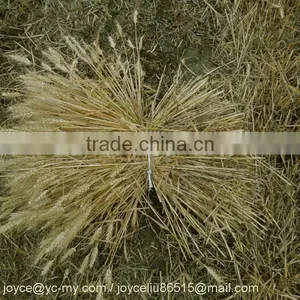 Agricultural Mini Swather/rice Wheat Reaper Binder/windrower thumbnail-5