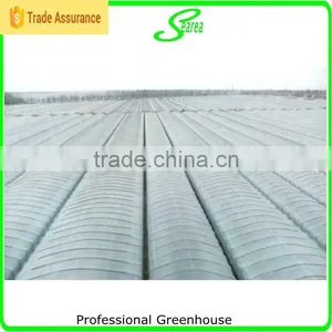 High Quality Film Blue Greenhouse for Sale thumbnail-6