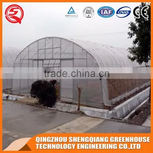 Plastic Film Greenhouse for Vegetables Planting,flowers,culture thumbnail-1