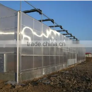 Mushroom Greenhouse for Agriculture With Galvanized Steel thumbnail-1