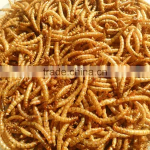 Shan County Yongzheng Pet Food Dried Mealworm thumbnail-1