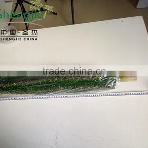 Outdoor Decoration Artificial Cactus Plants thumbnail-4