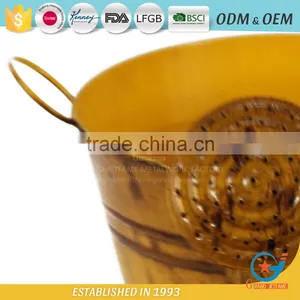 10 Inch Garden Unique Powder Coated Coloured Metal Plant Colored Flower Pots Coloured Plant Pots Metal thumbnail-6