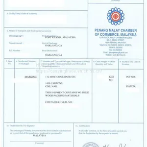Pure Handwritten Experience: Interpretation and Sustainable Operation of re Export Trade -- Malaysia as an Example thumbnail-1