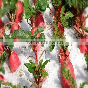 Food Additives Radish Red Pigment thumbnail-6