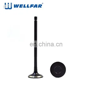 Chinese Factory Chromium Coating Nitrided 1RZ Engine Valve thumbnail-3