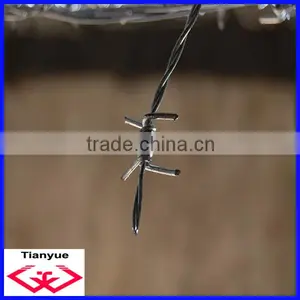 Hot Dipped Galvanized Barbed Wire (Manufacturer) thumbnail-1