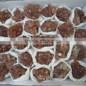 Fossil Gemstone Collection thumbnail-1