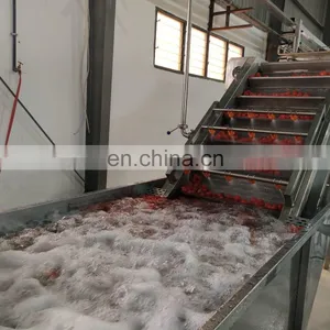 All Fruit Fully Automatic Concentrates Machine Natural Berry Juice Production Line thumbnail-5