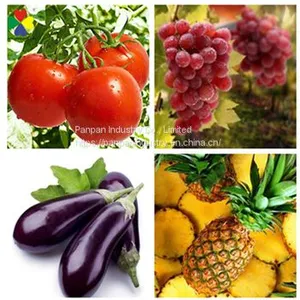 China Supplier Bnaphthoxyacetic Acid Cultivate Tomato Bnoa 98%tc Water Insoluble thumbnail-3