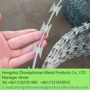Hot-dip Zinc Plating Barbed Wire thumbnail-1