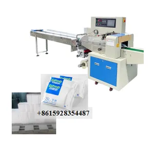 Dry Ice Block Packing Machine for Wrapping 500g Slice 1kg Slab thumbnail-1