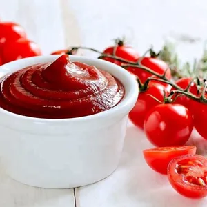 Small Capacity Tomato Ketchup Production Line Tomato Paste Making Machine Turkey thumbnail-4