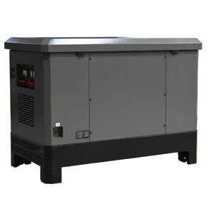 Industrial 20KW Multi-fuel Silent Generator Four Cylinder Water-cooled Gasoline LPG CNG LNG Commercial Backup Power Unit thumbnail-1