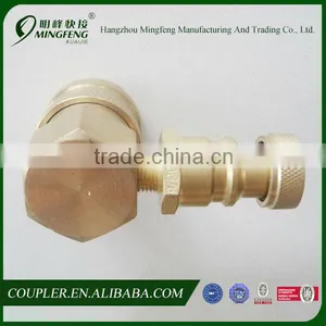 Wholesale Superior Factory Price Pp-r Brass Fitting thumbnail-3