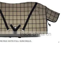 Summer Rugs thumbnail-1