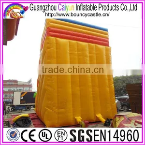 Colourful Design Inflatable Dry Slide With Trees thumbnail-3