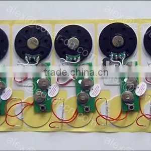 Speaking Module for Eletronic Products thumbnail-1