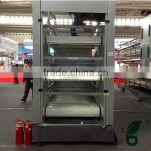 Automatic Chicken Manure Removal System thumbnail-1