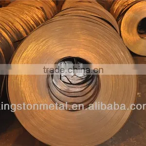 Competitive Price St37-2g Galvanized Steel Strips in Coils thumbnail-1