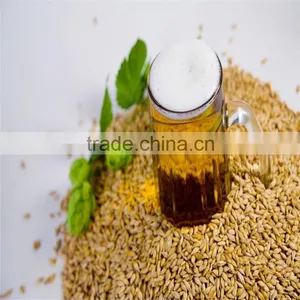 Bulk Container Supply of 2015 Crop Australian Beer Barley Hindmarsh thumbnail-2
