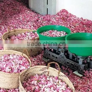 100% Pure Rose Essential Oil thumbnail-5