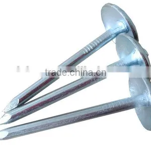 Galvanized Roofing Nail With Umbrella Head From DINGZHOU BEST HARDWARE CO.,LTD thumbnail-5