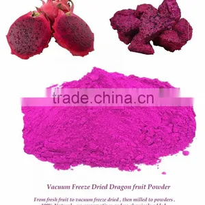 Dry Fruit Powder Export to US : Vacuum Freeze Dried Red Dragon Fruit Powder From Thailand thumbnail-2