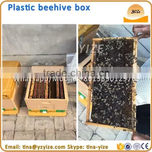 Plastic Hive , Beehive for Sale thumbnail-4