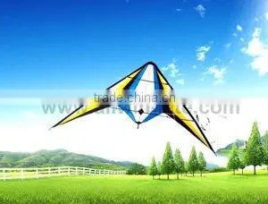 Dual Line Delta Stunt Kites - Straight Edge Kites thumbnail-1