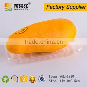 Clear Disposable Cheap Packaging PET Plastic Food Fruit Tray thumbnail-3