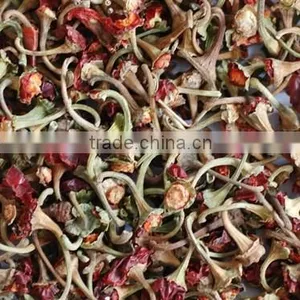 Sweet Paprika Stem thumbnail-1