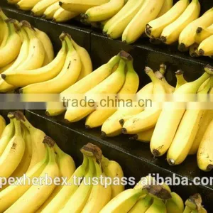 Banana Pulp Powder / Spray Dried Banana Powder / Powder of Banana Fruit thumbnail-4