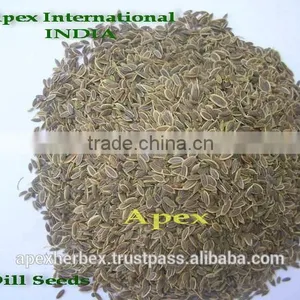 Dill Seeds TBC thumbnail-6