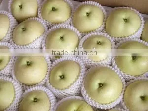 Golden Pear thumbnail-4