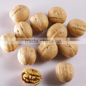Natural Flavor Walnut Kernel for Selling and Fresh Walnut Kernel thumbnail-5